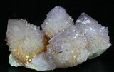 Cactus Quartz (Amethyst) Cluster - South Africa #33622-2